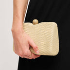 Marissa Evening Bag: Natural