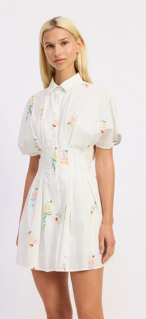 Leanne shirt dress